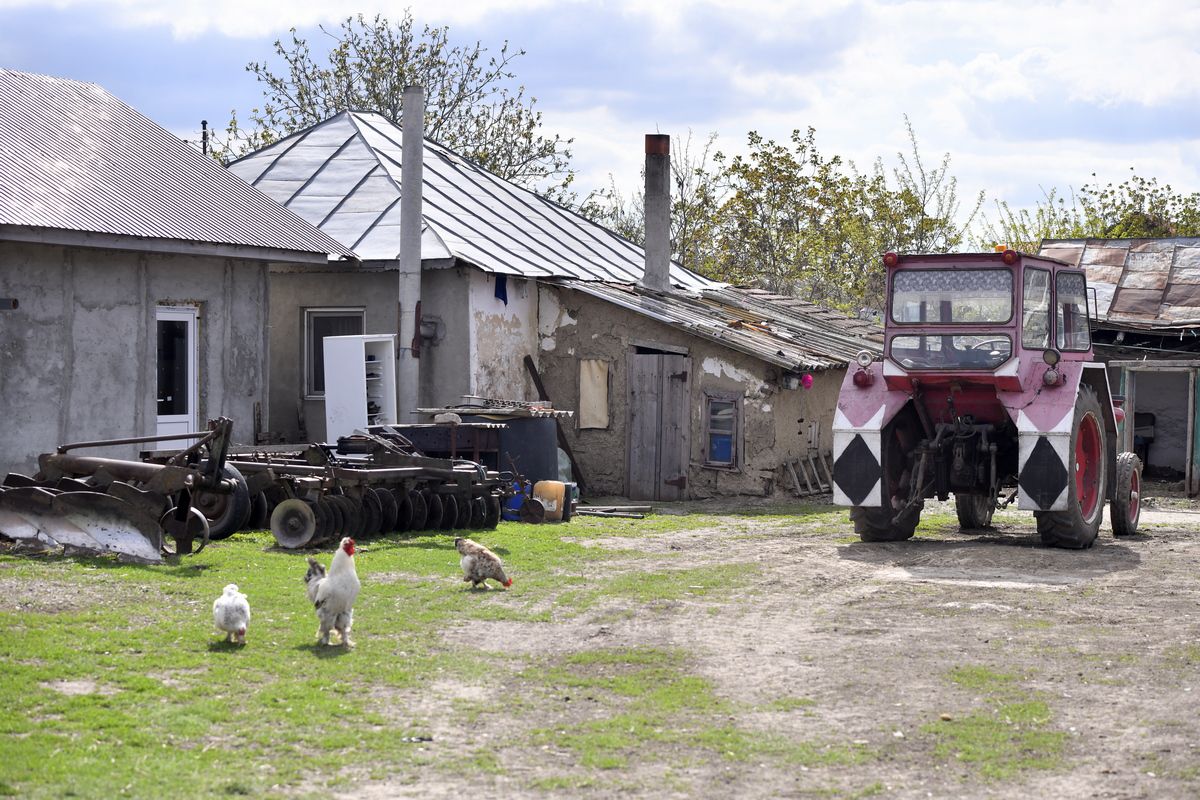 AFC Iazu - Unirea Scânteia