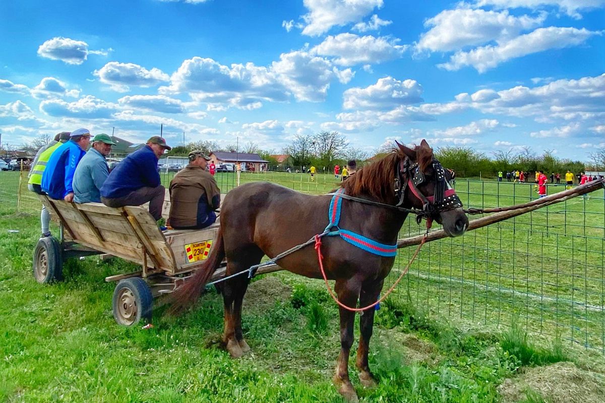 Derby la Liga 4 între Iazu și Scânteia » Căruțe pe post de peluză, prima se dă în bere și mici, echipamente cumpărate de Bobonete: „E Dinamo-Steaua din Ialomița”