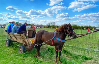 Derby la Liga 4 între Iazu și Scânteia » Căruțe pe post de peluză, prima se dă în bere și mici, echipamente cumpărate de Bobonete: „E Dinamo-Steaua din Ialomița”