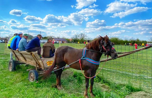 Derby la Liga 4 între Iazu și Scânteia » Căruțe pe post de peluză, prima se dă în bere și mici, echipamente cumpărate de Bobonete: „E Dinamo-Steaua din Ialomița”