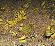 Suporterii au făcut show înainte de Dortmund - PSG