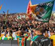 Revenire rapidă pentru Venezia în Serie A // FOTO Imago Images