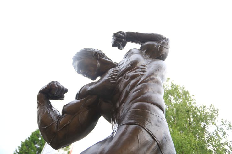 Acasă la Arnold Schwarzenegger FOTO: Ionuţ Iordache (GSP)