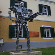 Acasă la Arnold Schwarzenegger FOTO: Ionuţ Iordache (GSP)