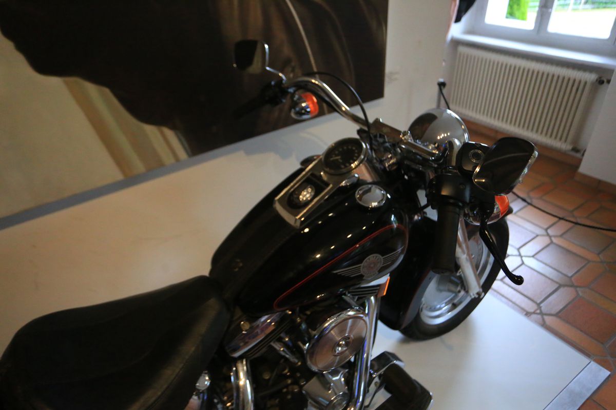 Acasă la Arnold Schwarzenegger 2