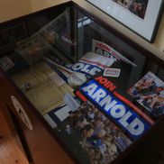 Acasă la Arnold Schwarzenegger FOTO: Ionuţ Iordache (GSP)