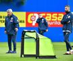 Antrenament România 1 iunie / Foto: Cristi Preda (GSP)