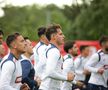 „Nu avem nici cea mai mică șansă!” » Daniel Pancu se pregătește de debutul României la Euro Under 21