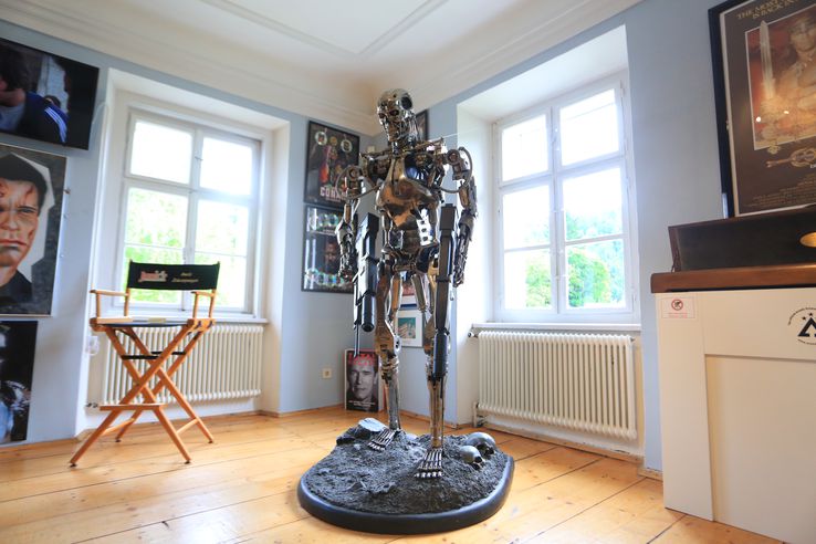 Acasă la Arnold Schwarzenegger FOTO: Ionuţ Iordache (GSP)