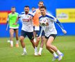 Antrenament România 1 iunie / Foto: Cristi Preda (GSP)