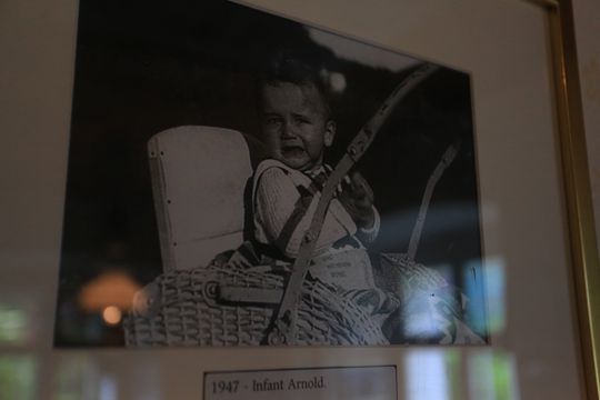 Acasă la Arnold Schwarzenegger FOTO: Ionuţ Iordache (GSP)