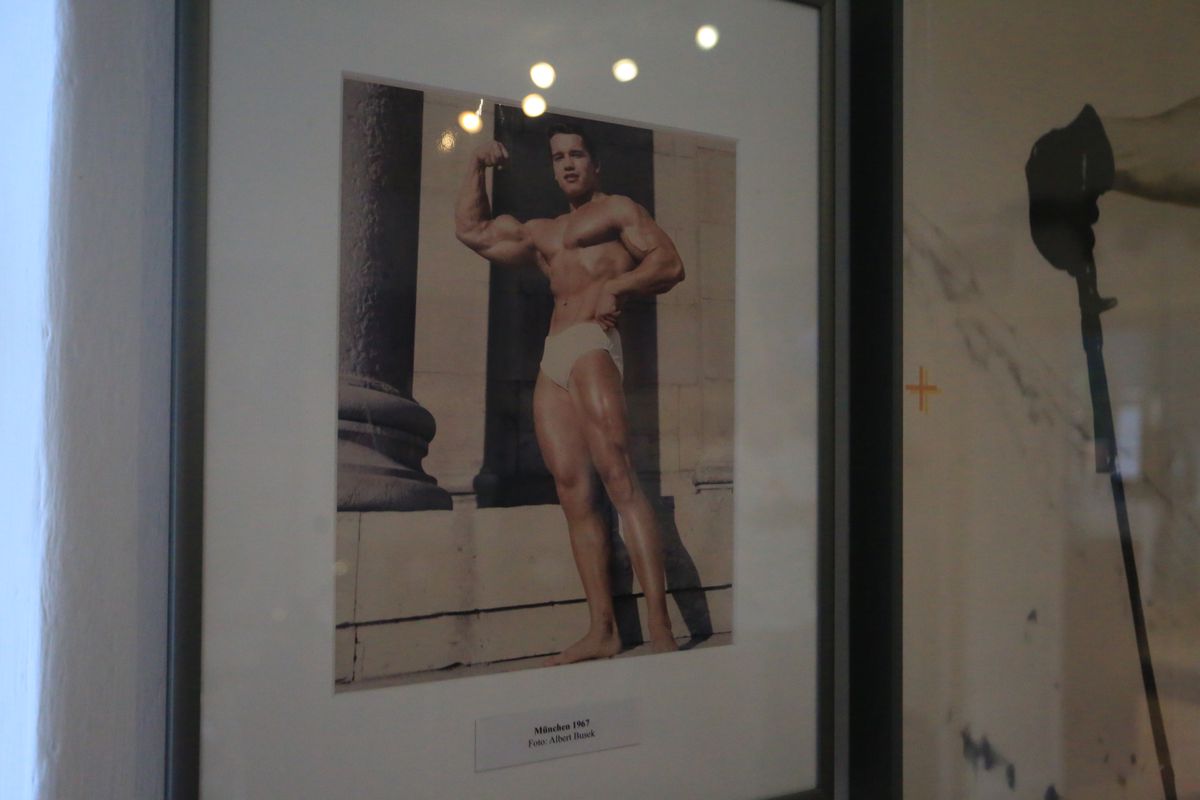 Acasă la Arnold Schwarzenegger 1