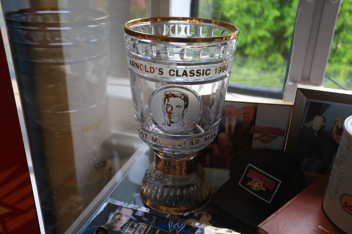 Acasă la Arnold Schwarzenegger 1