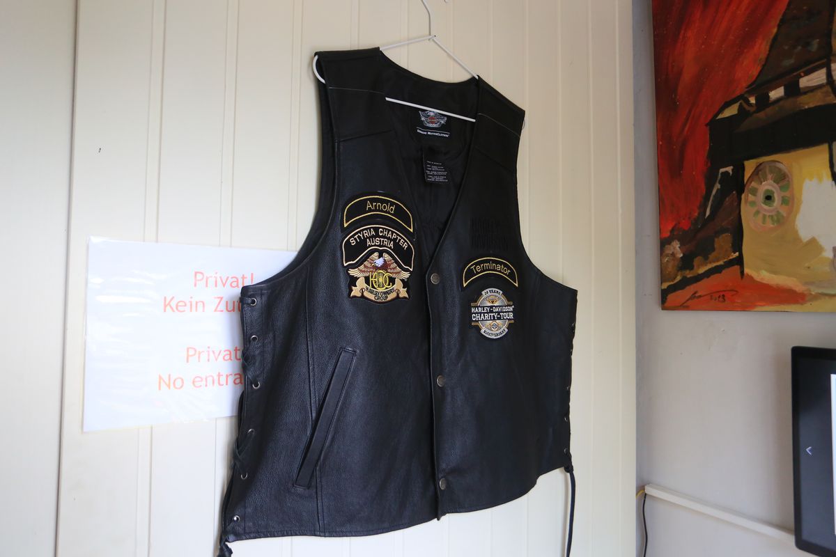 Acasă la Arnold Schwarzenegger 1