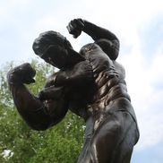 Acasă la Arnold Schwarzenegger FOTO: Ionuţ Iordache (GSP)