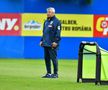 Antrenament România 1 iunie / Foto: Cristi Preda (GSP)
