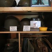 Acasă la Arnold Schwarzenegger FOTO: Ionuţ Iordache (GSP)