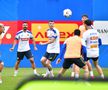 Antrenament România 1 iunie / Foto: Cristi Preda (GSP)