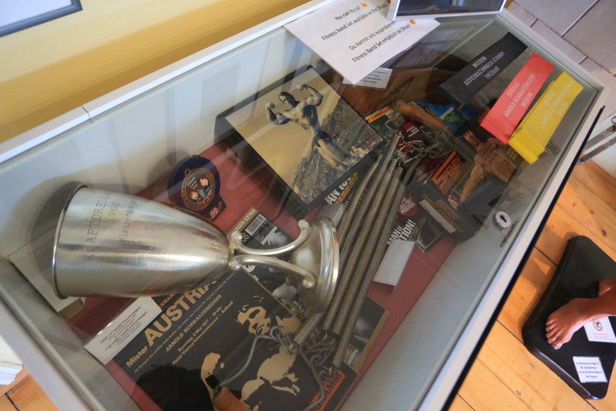 Acasă la Arnold Schwarzenegger 1