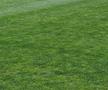 Înainte de FC Voluntari - Hermannstadt, 1 iunie 2025