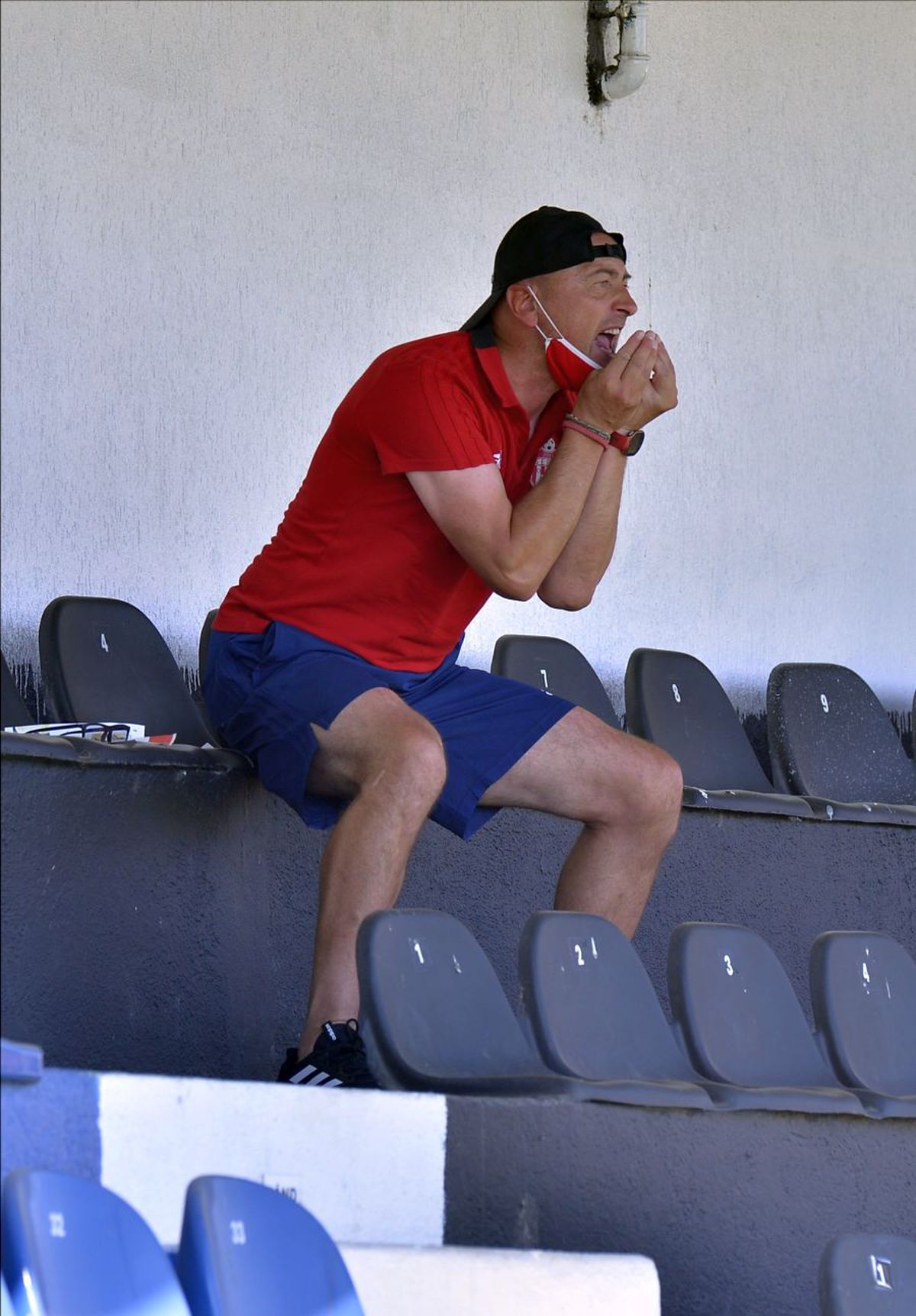 Clinceni - Sepsi 01.07.2020