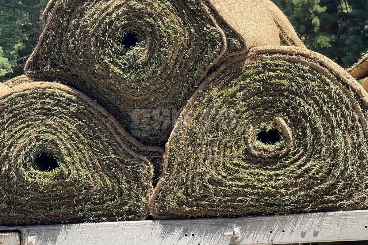 Se trage din greu » GSP a vizitat arena pe care FCSB își începe aventura europeană