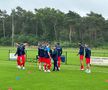 Nervi și scandal pe teren în FCSB - Anderlecht! Gestul lui Florinel Coman a provocat furia belgienilor