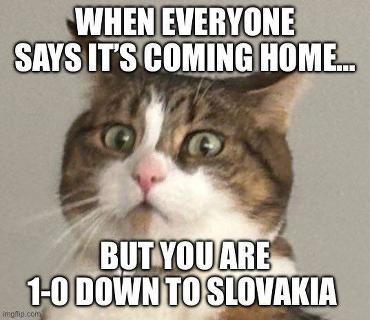 Ironia agresivă la adresa englezilor după victoria chinuită în fața slovacilor