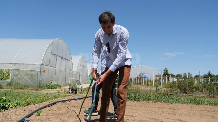 Ciprian Tătăruşanu s-a lansat în agricultură. GSP.RO a vizitat cooperativa agricolă „Din Grădina Noastră BIO”, din comuna Conțești. Foto: Andrei Crăițoiu