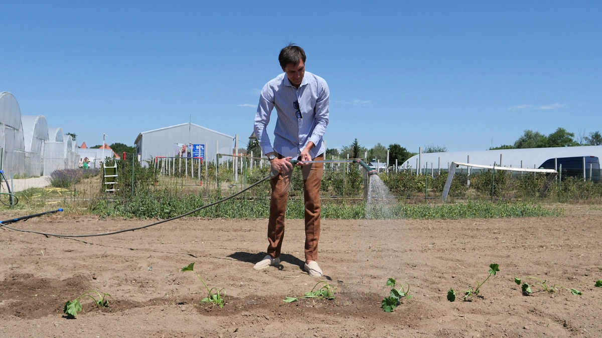 „Din 2020 sunt agricultor” » Ciprian Tătărușanu a lăsat fotbalul pentru dovlecei, zucchini și vinete bio! Fostul portar și-a prezentat afacerea: „Așa trebuie să fie leguma perfectă”