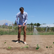 Ciprian Tătăruşanu s-a lansat în agricultură. GSP.RO a vizitat cooperativa agricolă „Din Grădina Noastră BIO”, din comuna Conțești. Foto: Andrei Crăițoiu