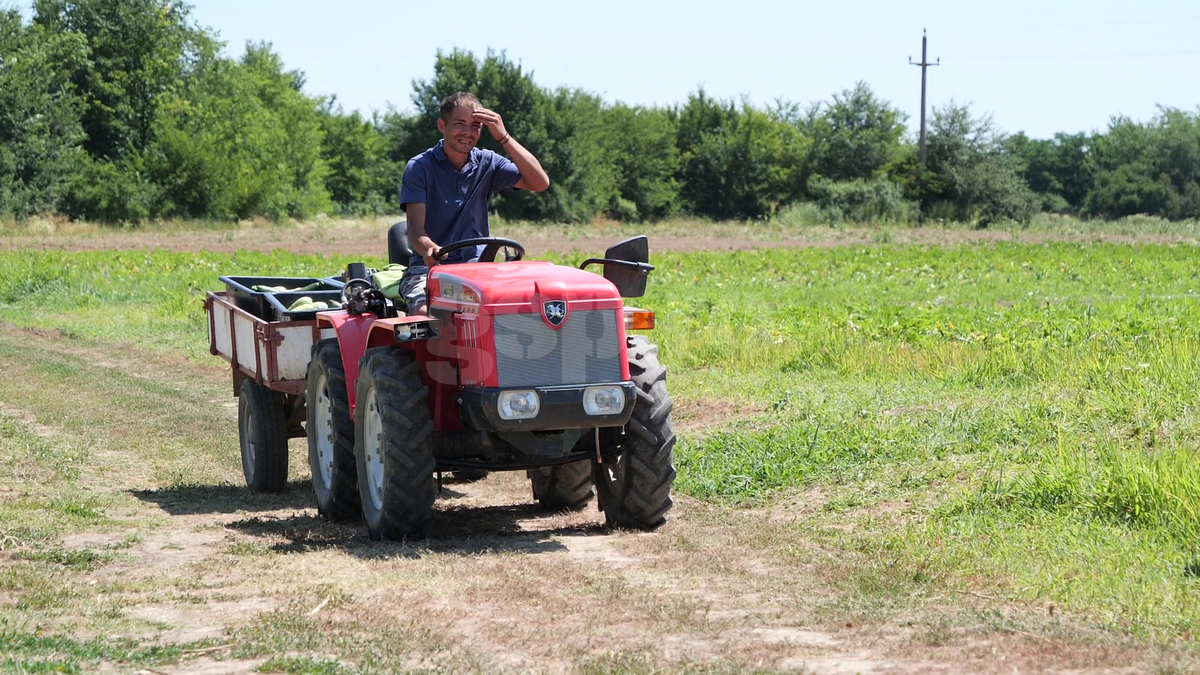 „Din 2020 sunt agricultor” » Ciprian Tătărușanu a lăsat fotbalul pentru dovlecei, zucchini și vinete bio! Fostul portar și-a prezentat afacerea: „Așa trebuie să fie leguma perfectă”