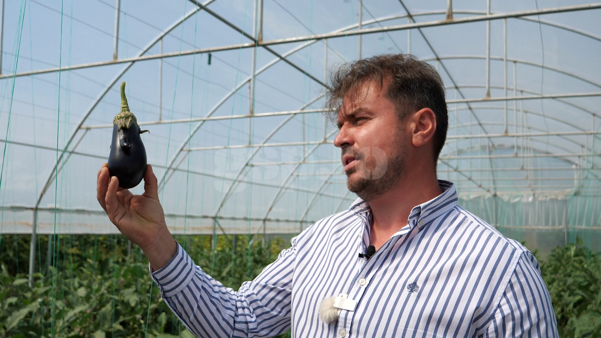 „Din 2020 sunt agricultor” » Ciprian Tătărușanu a lăsat fotbalul pentru dovlecei, zucchini și vinete bio! Fostul portar și-a prezentat afacerea: „Așa trebuie să fie leguma perfectă”