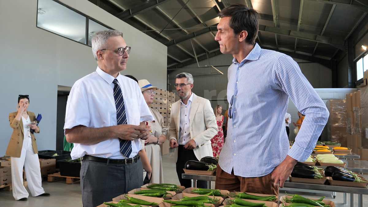 „Din 2020 sunt agricultor” » Ciprian Tătărușanu a lăsat fotbalul pentru dovlecei, zucchini și vinete bio! Fostul portar și-a prezentat afacerea: „Așa trebuie să fie leguma perfectă”