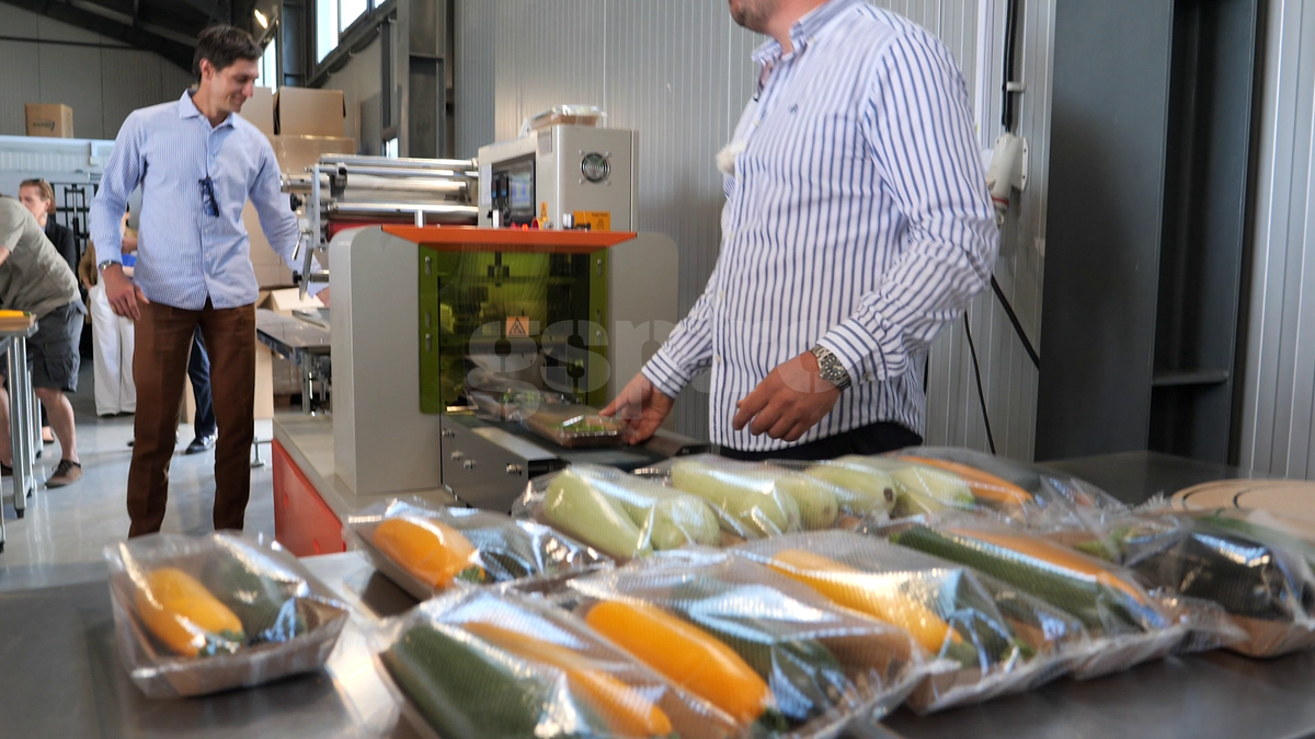 „Din 2020 sunt agricultor” » Ciprian Tătărușanu a lăsat fotbalul pentru dovlecei, zucchini și vinete bio! Fostul portar și-a prezentat afacerea: „Așa trebuie să fie leguma perfectă”