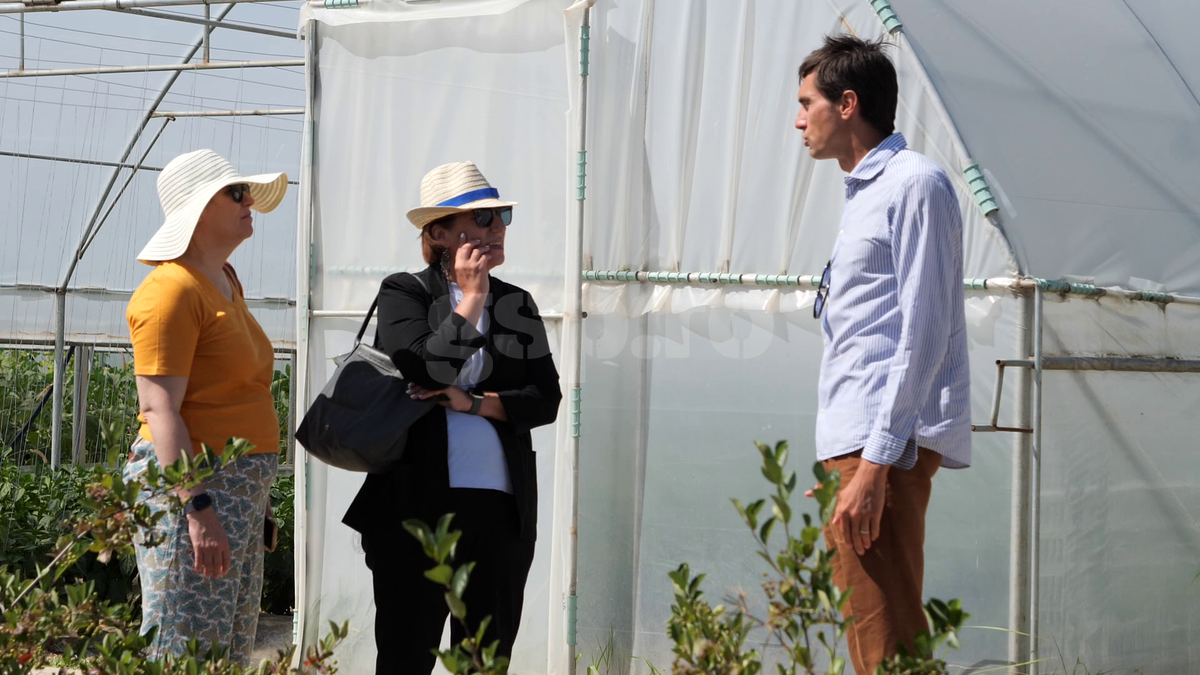 „Din 2020 sunt agricultor” » Ciprian Tătărușanu a lăsat fotbalul pentru dovlecei, zucchini și vinete bio! Fostul portar și-a prezentat afacerea: „Așa trebuie să fie leguma perfectă”