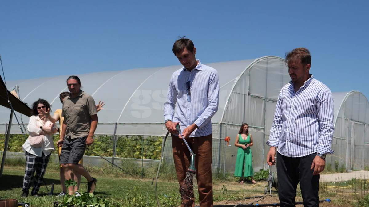 „Din 2020 sunt agricultor” » Ciprian Tătărușanu a lăsat fotbalul pentru dovlecei, zucchini și vinete bio! Fostul portar și-a prezentat afacerea: „Așa trebuie să fie leguma perfectă”