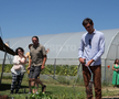 Ciprian Tătăruşanu s-a lansat în agricultură. GSP.RO a vizitat cooperativa agricolă „Din Grădina Noastră BIO”, din comuna Conțești. Foto: Andrei Crăițoiu