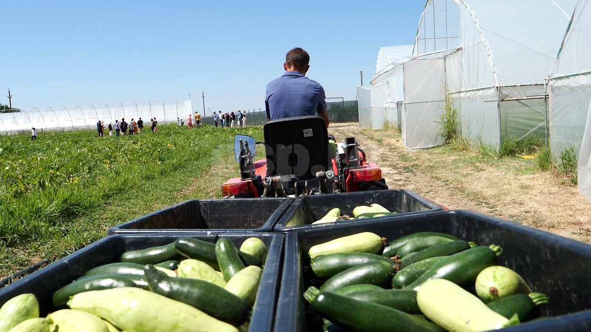 Ciprian Tătărușanu - „Din Grădina Noastră BIO”, din comuna Conțești