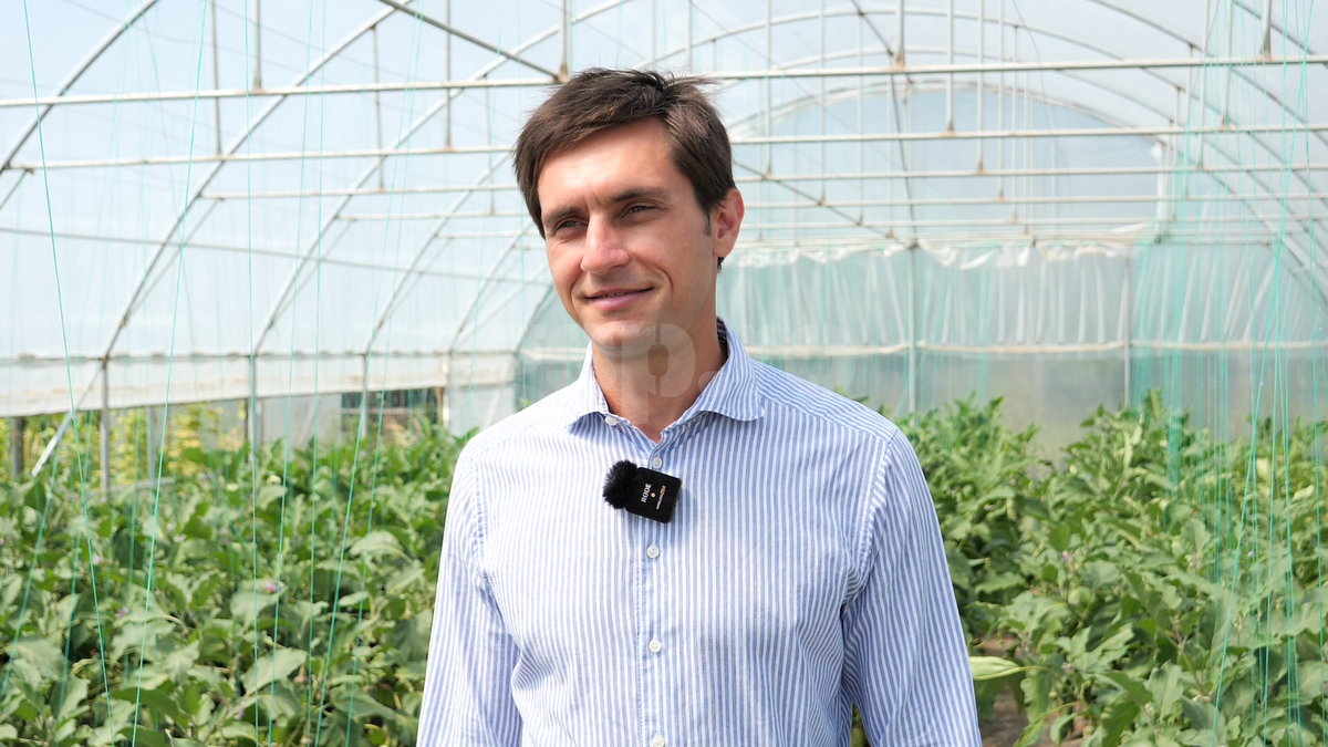 „Din 2020 sunt agricultor” » Ciprian Tătărușanu a lăsat fotbalul pentru dovlecei, zucchini și vinete bio! Fostul portar și-a prezentat afacerea: „Așa trebuie să fie leguma perfectă”