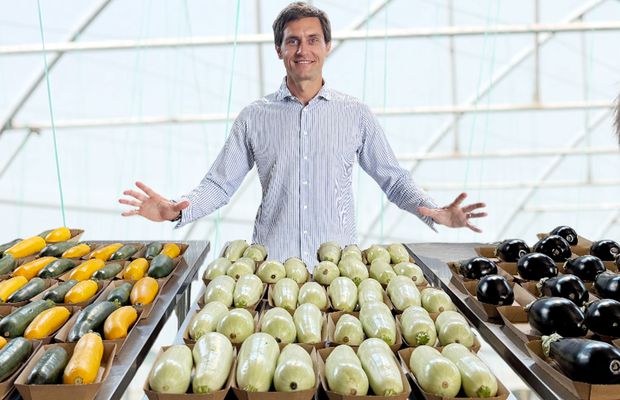 „Din 2020 sunt agricultor” » Ciprian Tătărușanu a lăsat fotbalul pentru dovlecei, zucchini și vinete bio! Fostul portar și-a prezentat afacerea: „Așa trebuie să fie leguma perfectă”