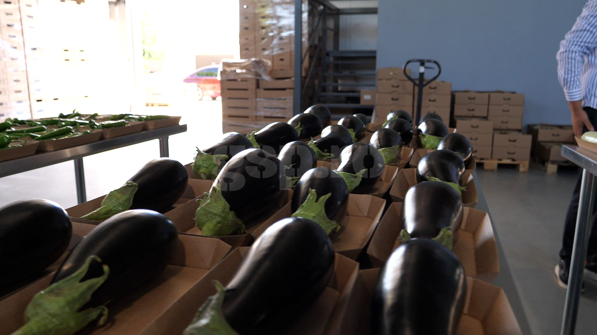 „Din 2020 sunt agricultor” » Ciprian Tătărușanu a lăsat fotbalul pentru dovlecei, zucchini și vinete bio! Fostul portar și-a prezentat afacerea: „Așa trebuie să fie leguma perfectă”