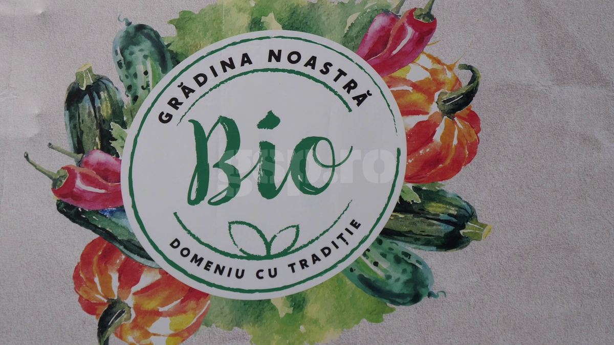 „Din 2020 sunt agricultor” » Ciprian Tătărușanu a lăsat fotbalul pentru dovlecei, zucchini și vinete bio! Fostul portar și-a prezentat afacerea: „Așa trebuie să fie leguma perfectă”
