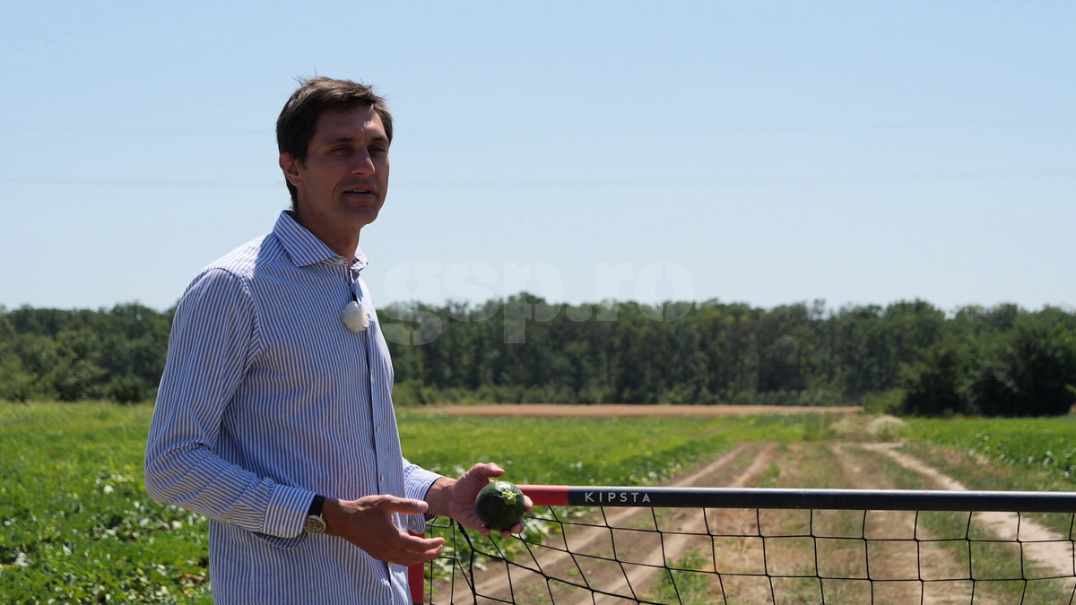 „Din 2020 sunt agricultor” » Ciprian Tătărușanu a lăsat fotbalul pentru dovlecei, zucchini și vinete bio! Fostul portar și-a prezentat afacerea: „Așa trebuie să fie leguma perfectă”