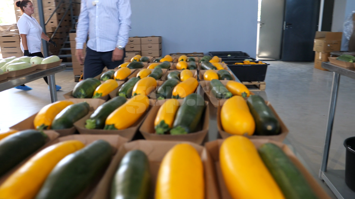 „Din 2020 sunt agricultor” » Ciprian Tătărușanu a lăsat fotbalul pentru dovlecei, zucchini și vinete bio! Fostul portar și-a prezentat afacerea: „Așa trebuie să fie leguma perfectă”