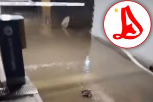 „Casa lui Dinamo”, sub ape! Acuze dure la adresa Primăriei București