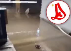 „Casa lui Dinamo”, sub ape! Acuze dure la adresa Primăriei București: „E jale”