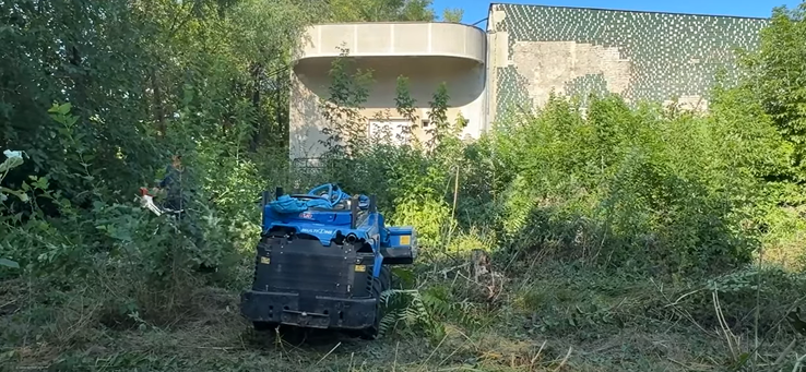 Imaginile nepăsării! Statul român se mândrește cu David Popovici, însă bazinul în care ar fi trebuit să se antreneze se află în paragină / Foto: Capturi de ecran, Europa Liberă