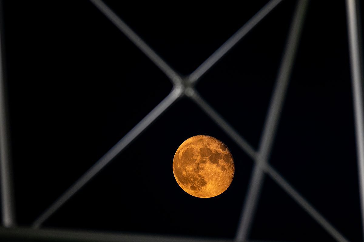 Primul dinamovist care a venit la flash-interviuri: „Multe nu ne-au ieșit, am fost fricoși”