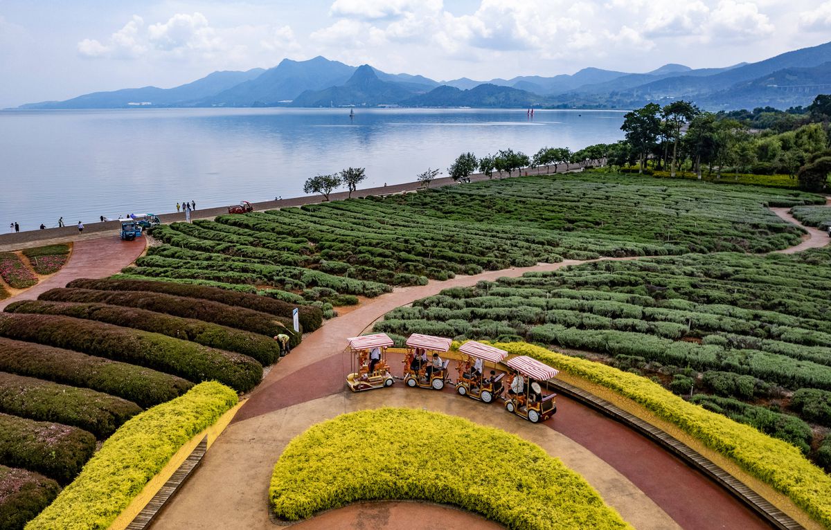 Andrei Burcă a numit dezavantajul vieții în China: „Încerc, dar e mai greu” » Cum arată orașul unde evoluează: e aproape cât Bucureștiul